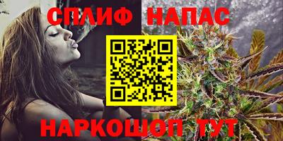 шишки Туймазы