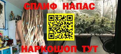 spice Тула