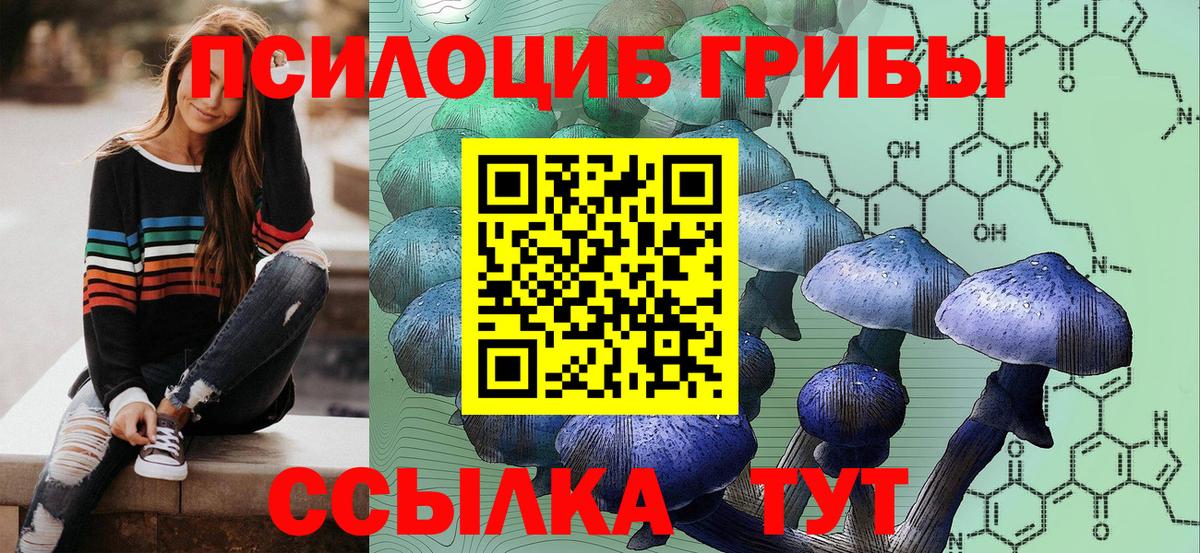 Галлюциногенные грибы Magic Shrooms Выкса