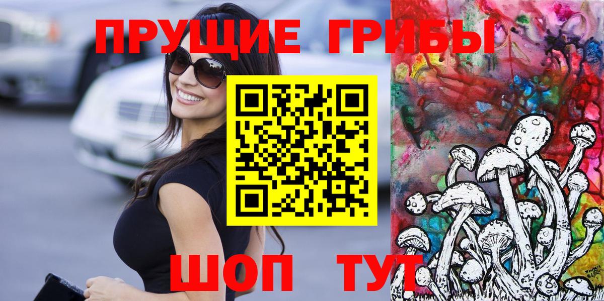Галлюциногенные грибы GOLDEN TEACHER  Псилоцибиновые грибы прущие грибы  Выкса  купить   Вход с VPN 